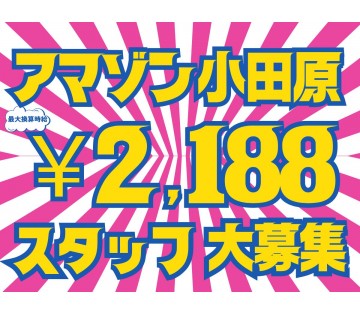相談できる環境が整っているので入社後も安心♪