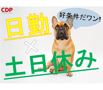 シーデーピージャパン株式会社の工場 製造業求人情報 その他埼玉県 残業なし人気9時 17時 家庭と仕事 工場ワークス で正社員 派遣の仕事 探し 26994994
