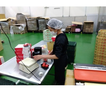 指定された場所にフルーツを入れたり梱包するお仕事！