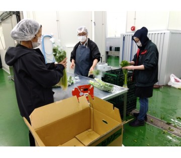 仕事中は皆真剣ですが、優しい方ばかり☆頼りになる先輩がたくさんいます！