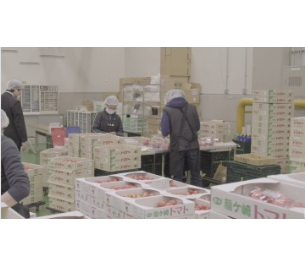 仕事中は皆真剣ですが、優しい方ばかり☆頼りになる先輩がたくさんいます！